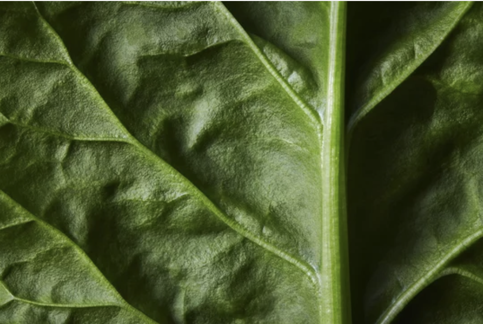 Guidance for Sustainability Teams